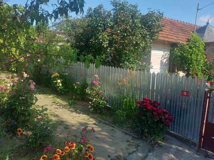 Casă cu 4 camere în Albița