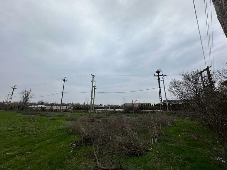 Teren Construcții intravilan de 155000 mp, în Mogoșești
