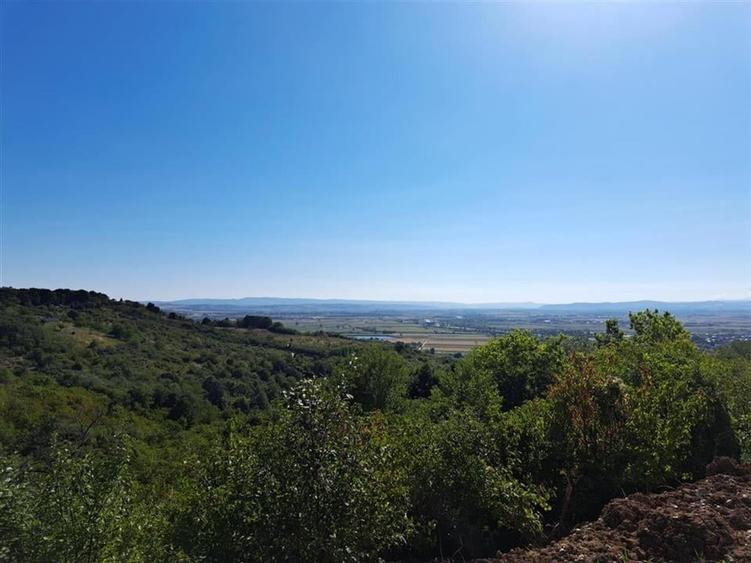 Teren Construcții intravilan de 9461 mp, în Podgoria