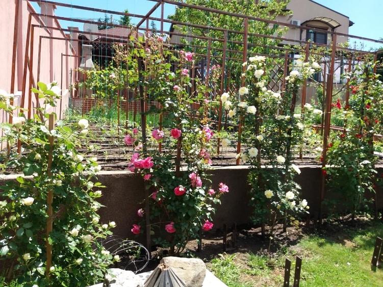 Casă individuală cu 5 camere cu Teren 1200 Mp în Central