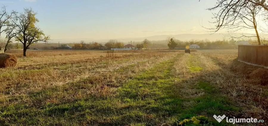 Teren de 2950 mp, în Vârfu Câmpului