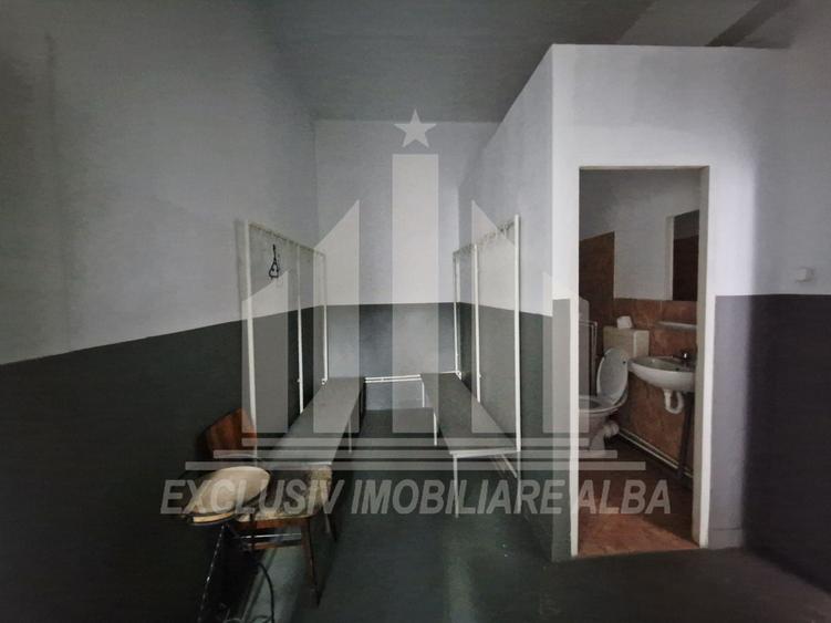 Spațiu industrial, de 1,100 mp, în Bărăbanț