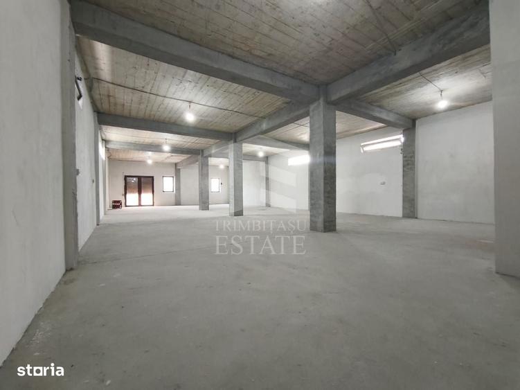 Casă cu 4 camere în Lumina