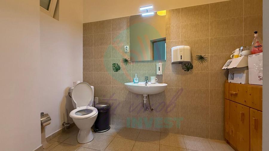 Casă individuală cu 12 camere cu Canalizare în Grădina Icoanei