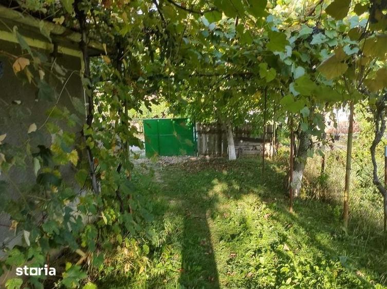 Casă cu 1 camere cu Teren 30 Mp în Lăzăreni