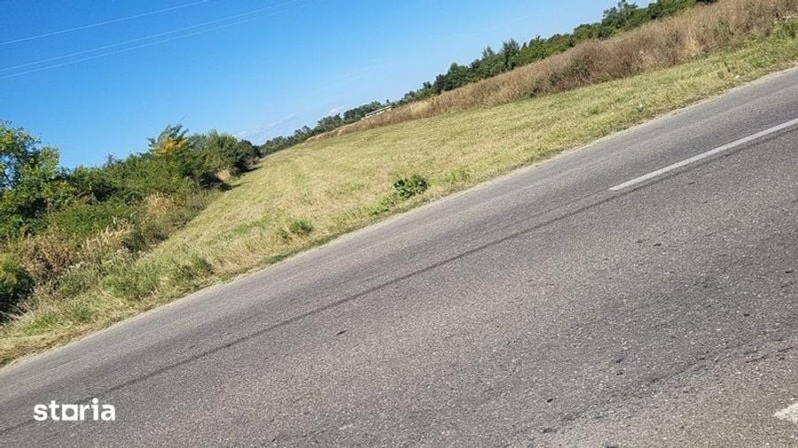 Teren de 8000 mp, în Dragomirești