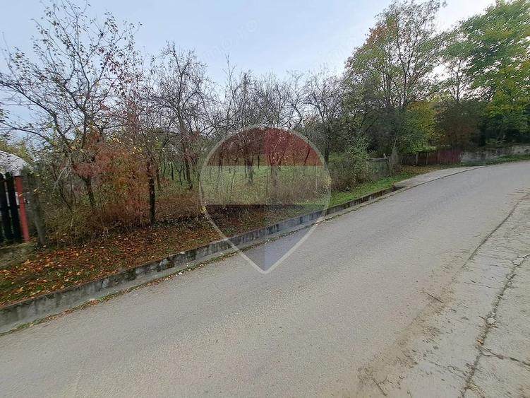 Teren de 3500 mp, în Poiana