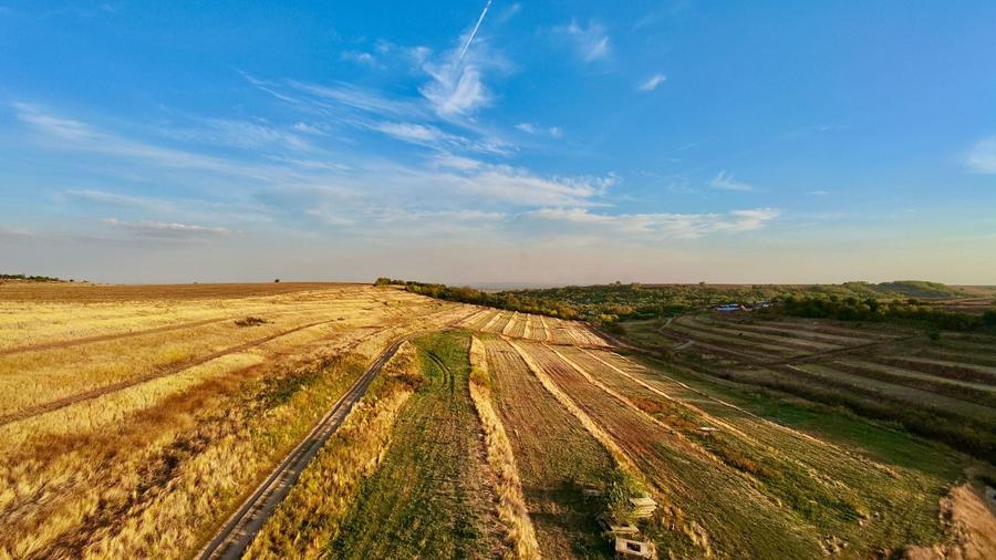 Teren agricol intravilan de 80000 mp, în Daia
