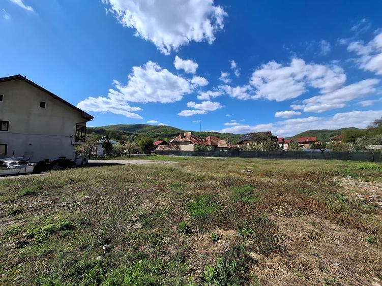 Casă individuală cu 6 camere cu Teren 3329 Mp în Olănești