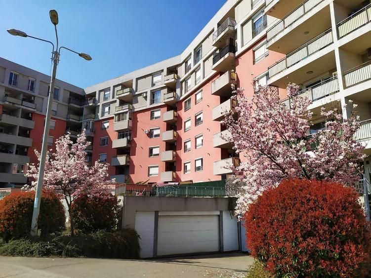 Apartament  spatios cu terasa - 11