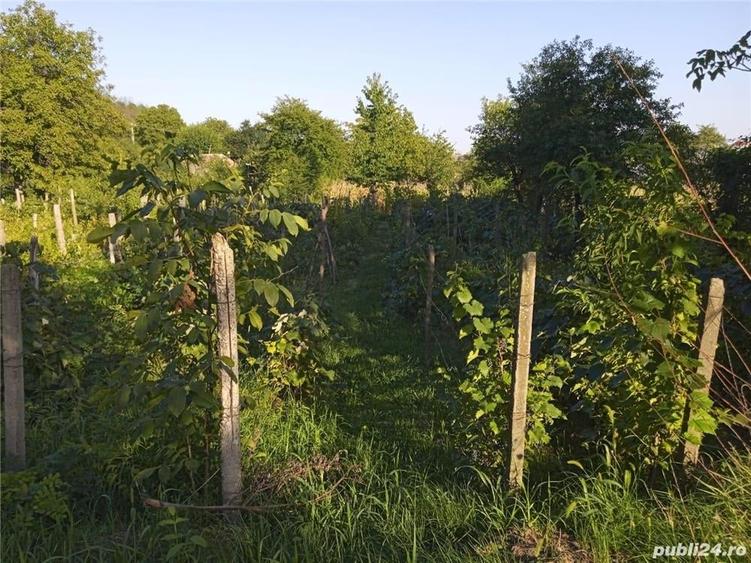 Teren de 2500 mp, în Urechești