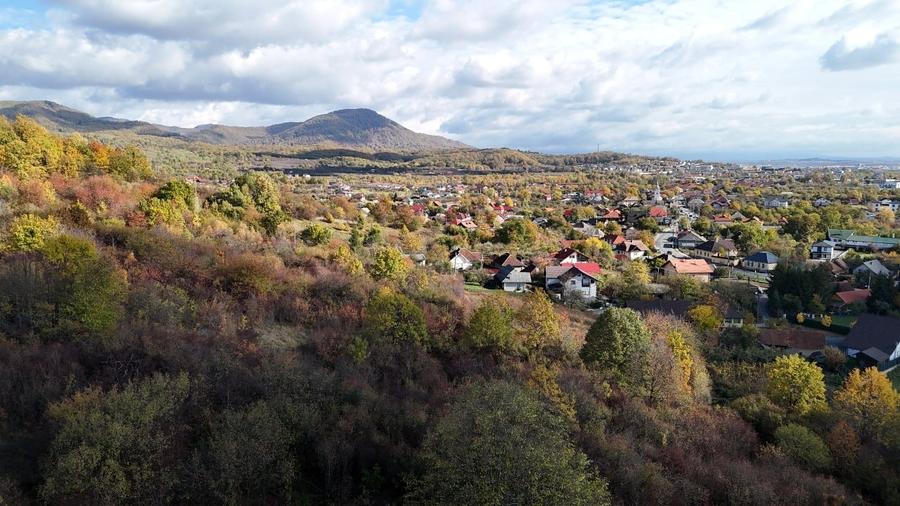 Teren intravilan de 14741 mp, în Tăuții-Măgherăuș