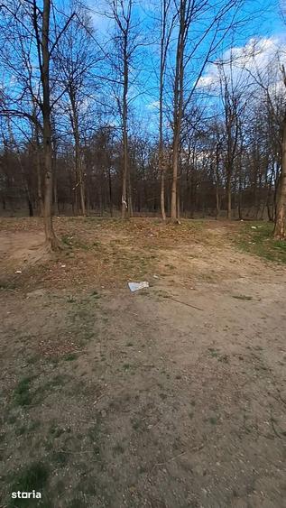 Casă cu 3 camere cu Teren 420 Mp în Bârnova