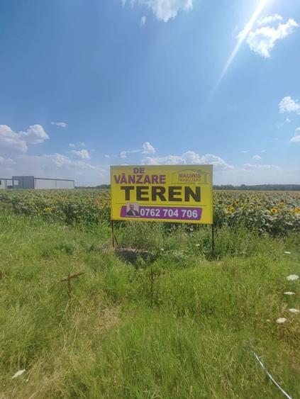 Teren Construcții intravilan de 14000 mp, în Găneasa