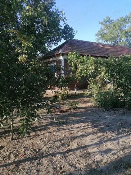 Casă cu Teren 1934 Mp în Siminoc