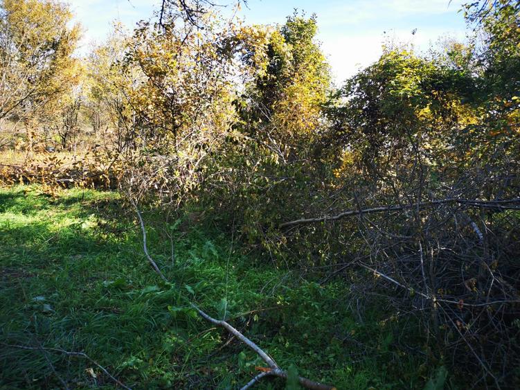 Casă individuală cu 2 camere cu Teren 2500 Mp în Gruiu