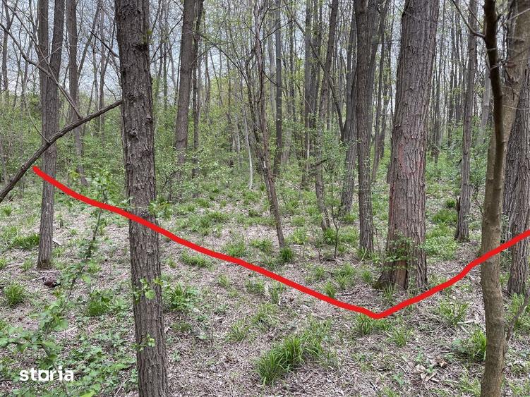 Teren 755 mp, Dem Radulescu, la 7 min de centrul orasului Rm Valcea - 3