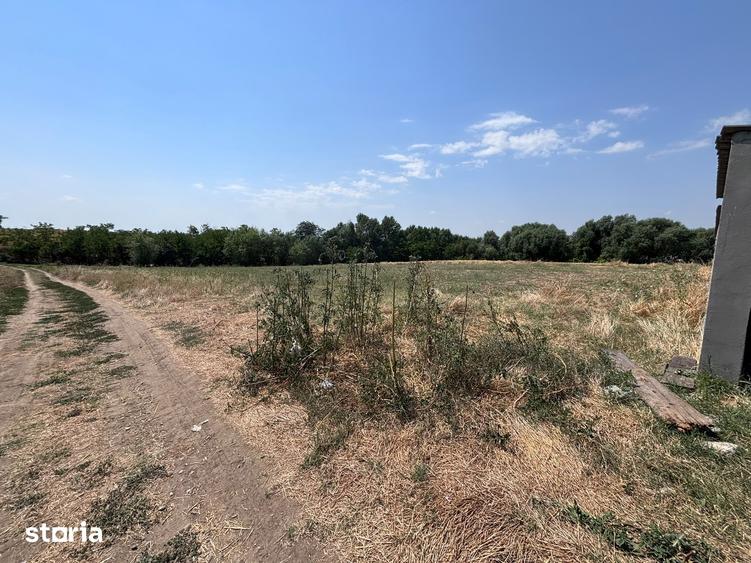 Teren de 2220 mp, în Coșoveni
