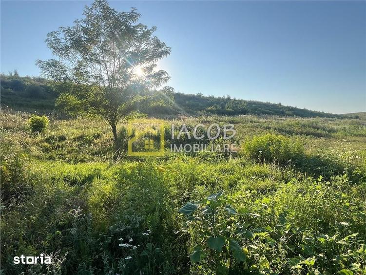 Teren de 550 mp, în Măgura