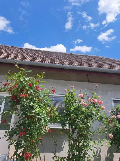 Casă cu 6 camere cu Teren 1880 Mp în Parța