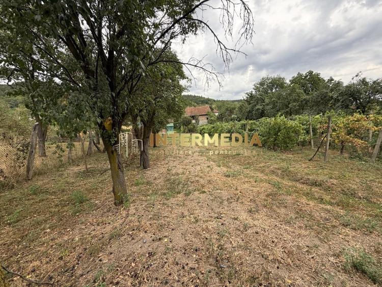 Casă individuală cu 3 camere cu Canalizare în Cricău