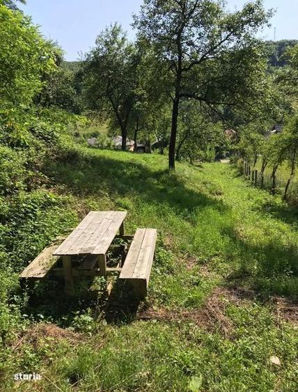 Teren de 1000 mp, în Băbana