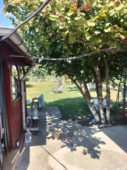 Casă cu Teren 1000 Mp în Radovanu
