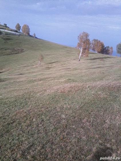 Teren de 21400 mp, în Central
