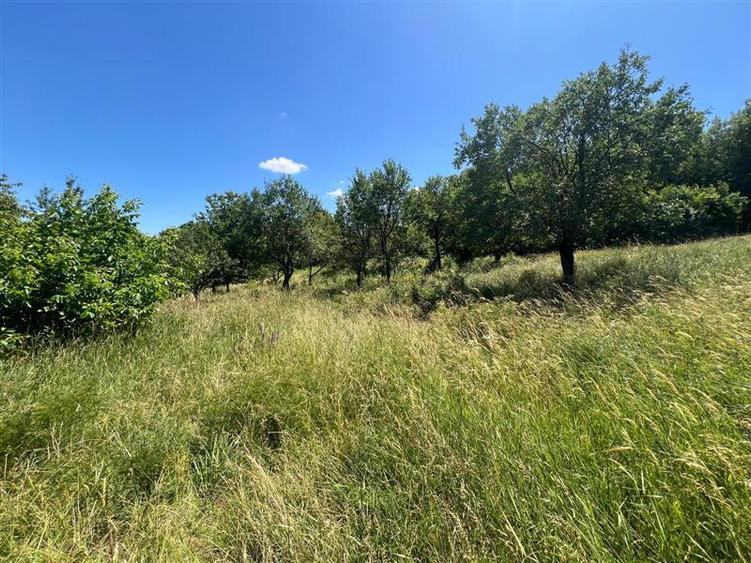 Teren Construcții intravilan de 17475 mp, în Tomești