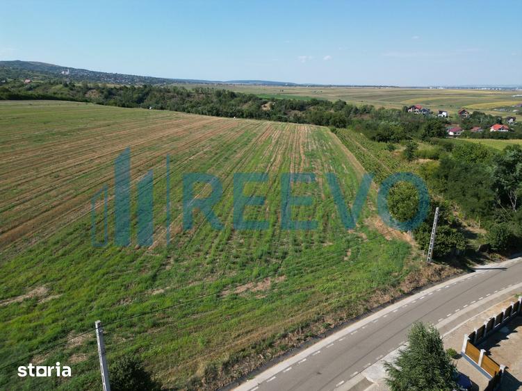 Teren de 7366 mp, în Sărata