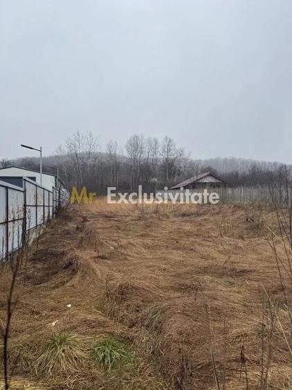 Teren de 1758 mp, în Drăganu