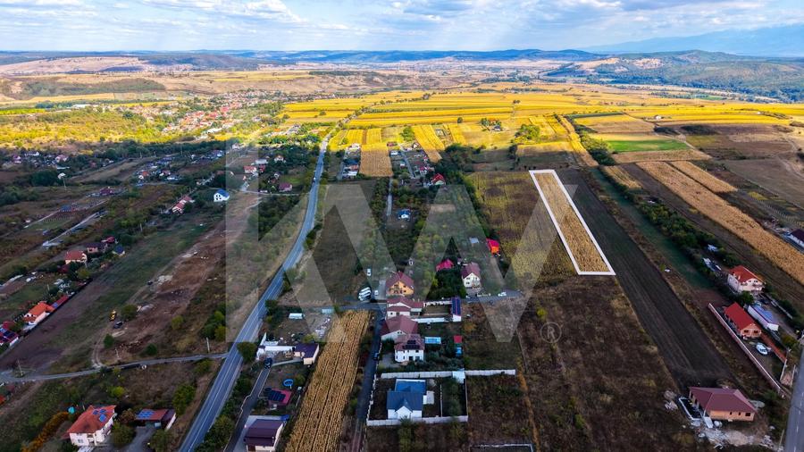 Teren agricol extravilan de 5000 mp, în Daia