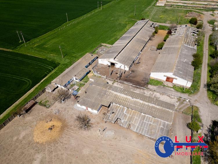 Teren agricol intravilan de 11532 mp, în Mihail Kogălniceanu