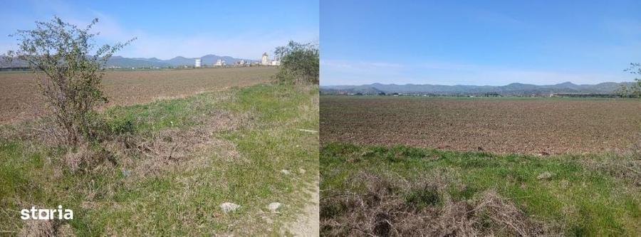 Teren de 3600 mp, în Central