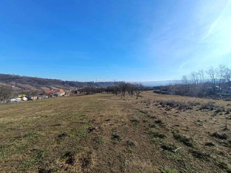 Teren Construcții intravilan de 2950 mp, în Pâclișa