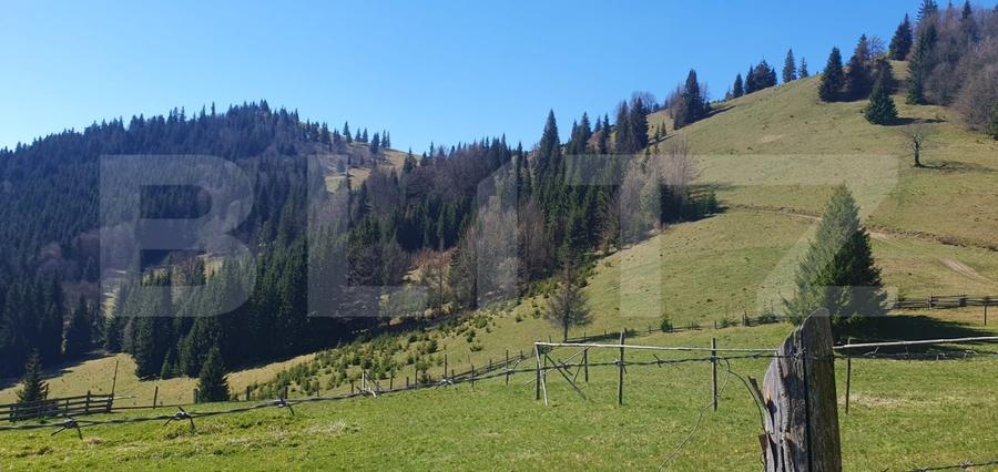 Teren Construcții extravilan de 206189 mp, în Vatra Dornei