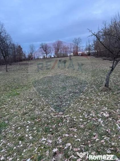 Teren în Rus