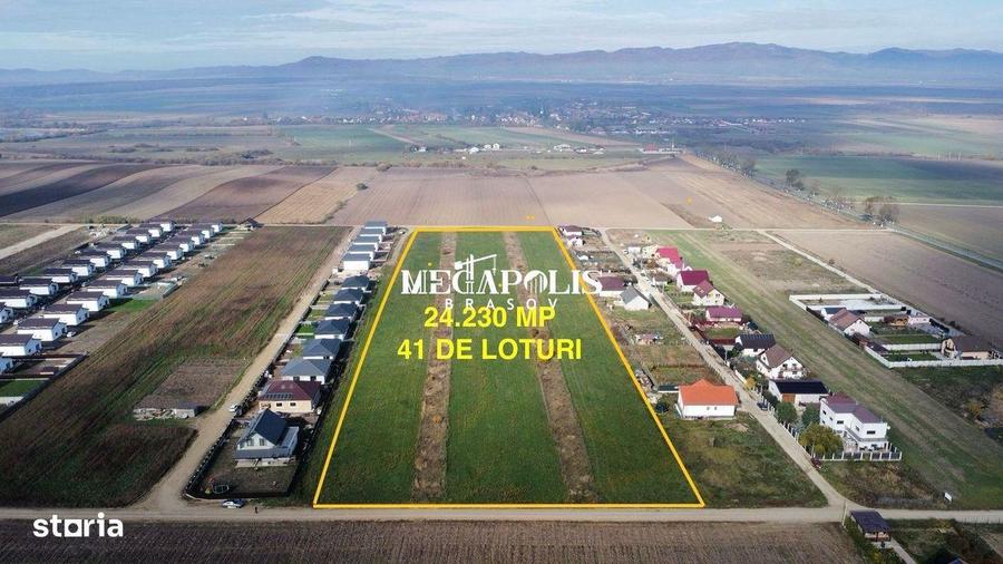 Teren de vinzare HALCHIU 41 PARCELE - 23.230mp - 3