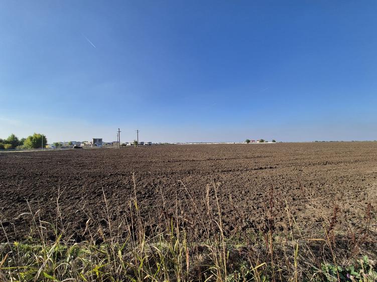 Teren Construcții intravilan de 9988 mp, în Tunari