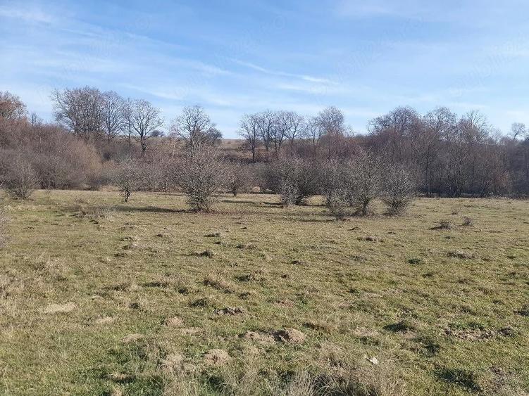 Teren de 4100 mp, în Vlădeni