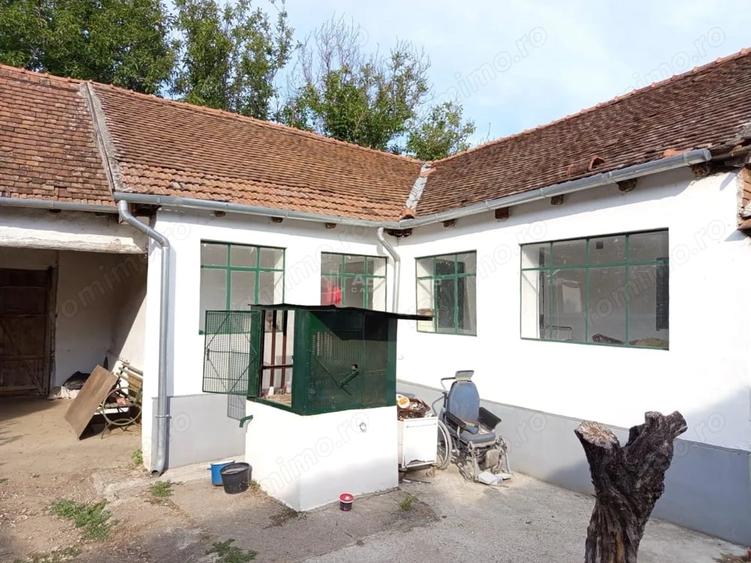 Casă cu Teren 1151 Mp în Ciuchici