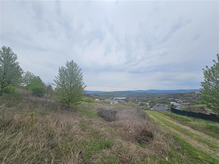 Teren Construcții intravilan de 9000 mp, în Ciurbești