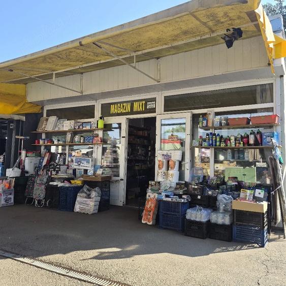 Spațiu comercial, de 355 mp, în Plantelor