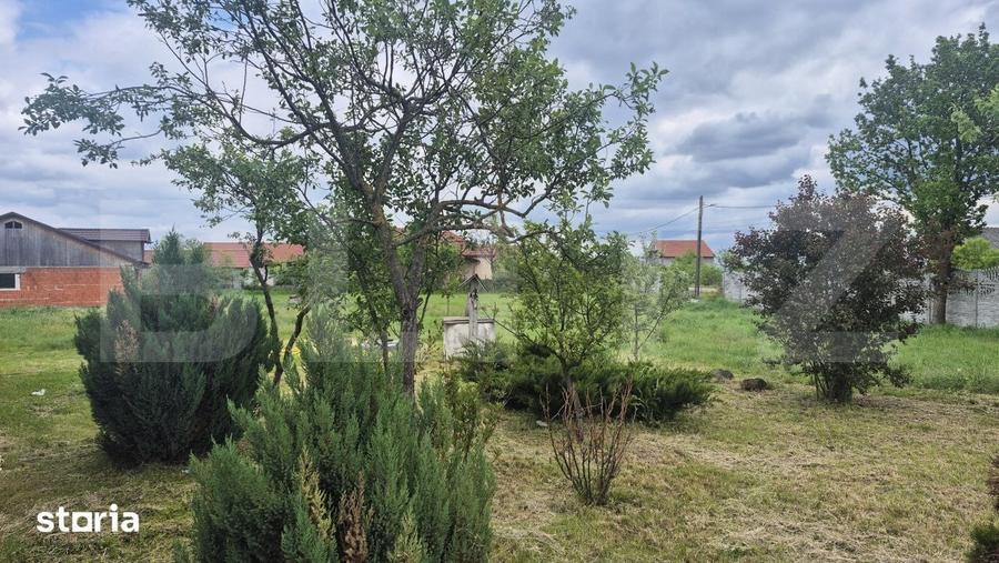 Casă cu 3 camere cu Teren 2918 Mp în Doba