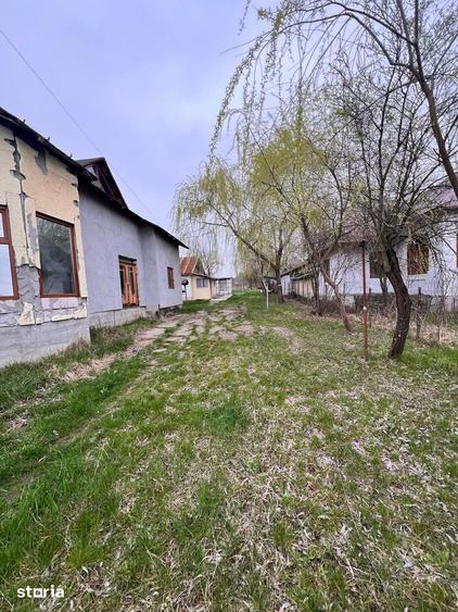 Casă cu 4 camere cu Teren 2244 Mp în Măciuca