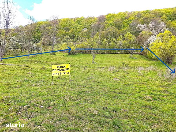 Teren de 7069 mp, în Ponor