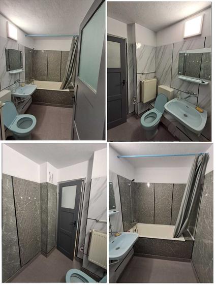 Apartament cu 2 camere decomandat în Botizului