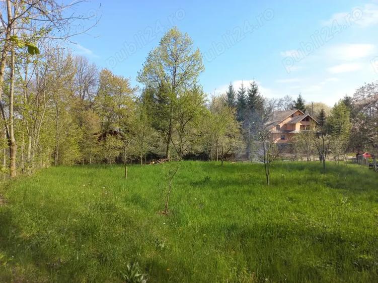 Teren de 1950 mp, în Central