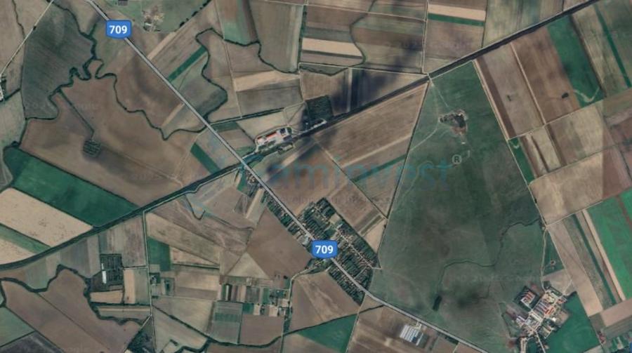 Teren agricol extravilan de 85400 mp, în Borș