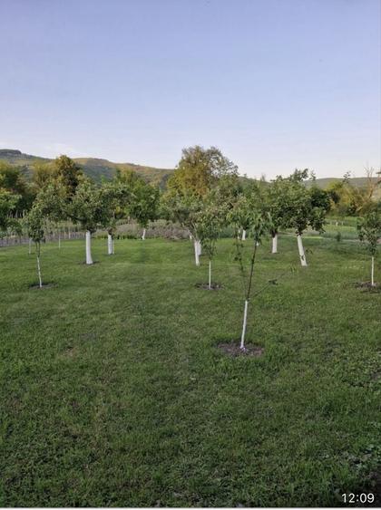 Casă cu 4 camere în Mănărade